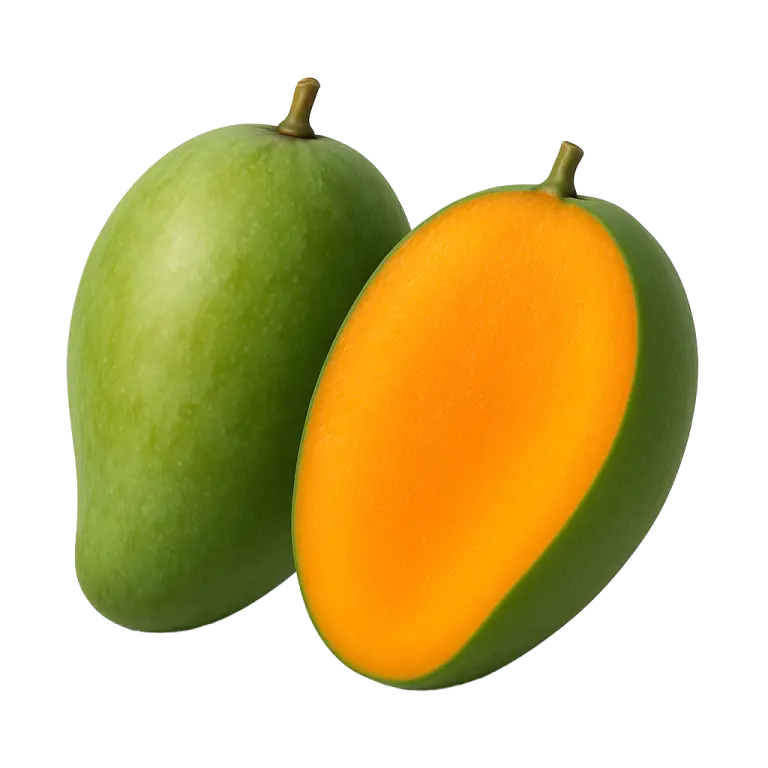 ChatGPT Image Apr 28, 2025, 02_38_29 PM